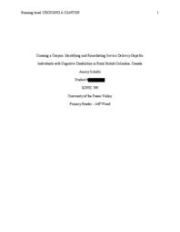 Crossing a canyon: identifying and remediating service delivery gaps for individuals with cognitive disabilities in rural British Columbia, Canada