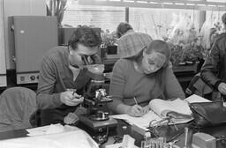 UFV-03-01-02-004-NEG-237