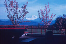 Mt. Baker from Abbotsford campus