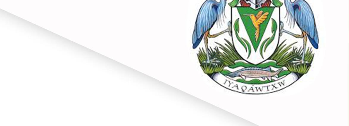 Collection Representative Image